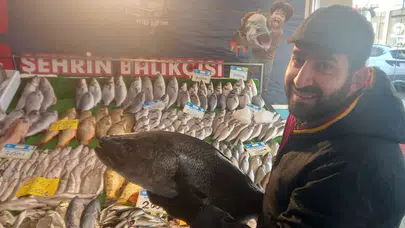 Balık fiyatları düştü, satışlar arttı
