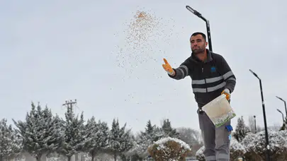Soğuk Ve Karlı Günlerde Doğadaki Kuşlar Unutulmadı