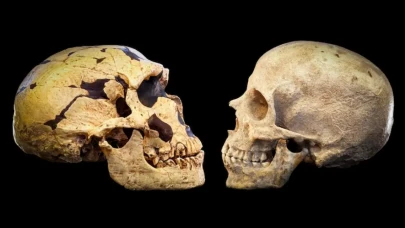 Son Dakika Bilinmeyen Bir Popülasyon, Genlerimizin Yüzde 20’sini Sağlamış