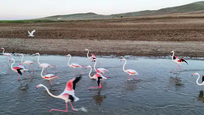 Hirfanlı'da Mola, Rota Tuz Gölü