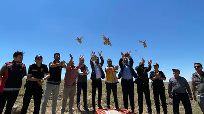 Ağaçören ilçesinde keklikler doğaya salındı