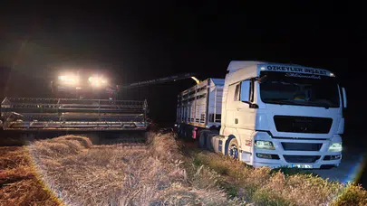 Eskil Ovası'nda Hasat Mesaisi Başladı