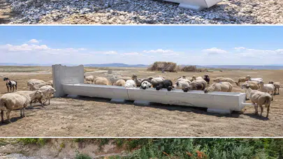 12 Köye Hayvan İçme Suyu Sıvatı Kuruldu
