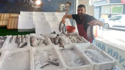 Balık fiyatları düştü vatandaşın yüzü güldü