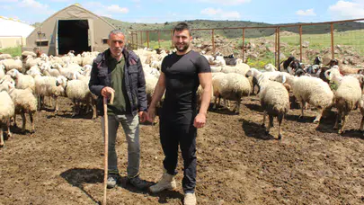 Hayvancılık desteklerinde başvuru dönemi başladı
