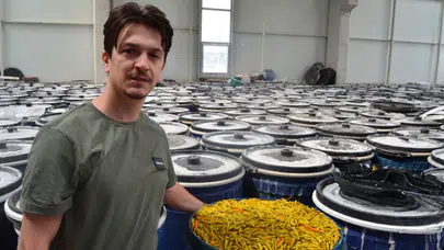 Genç girişimci turşu üretimini 20 tondan 400 tona çıkardı