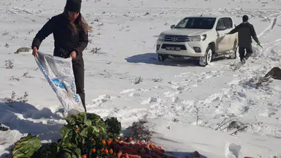 Dondurucu soğukta yaban hayvanları unutulmadı