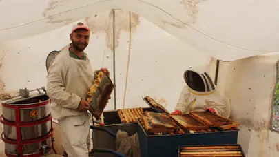 Yağan Yağışlar Arıcıların Umudu Oldu