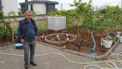 Hobi olarak başladığı güvercin tutkusunu 20 yıldır sürdürüyor