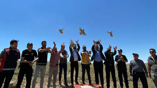 Ağaçören ilçesinde keklikler doğaya salındı