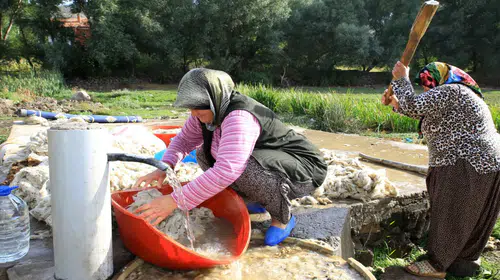Yün Yıkama Geleneği Helvadere’de Yaşatılıyor