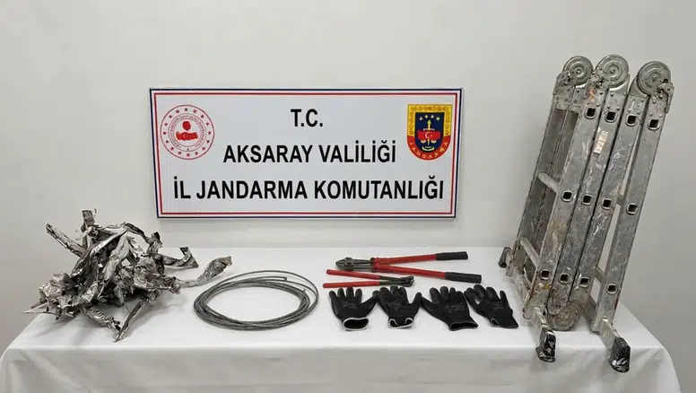 Aksaray’da kaplo  hırsızlığı 2 tutuklama