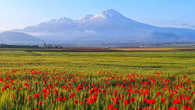 Tuz Gölü fayının yılda 1,3 milimetre dikey hareket ettiği, İç Anadolu’nun da genişlediği ortaya çıktı