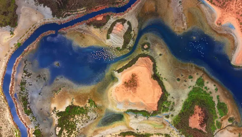 Tuz Gölü'ne göç eden flamingoların renkli yolculuğu