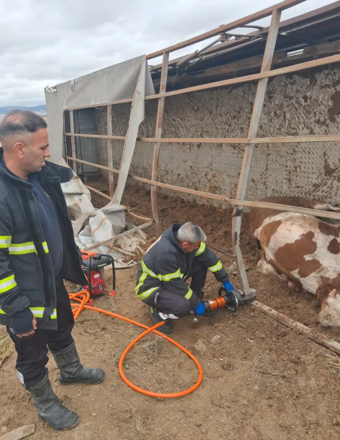 Aksaray’da devrilen hayvan yüklü tırın dorsesinde itfaiyenin kurtarma çalışması