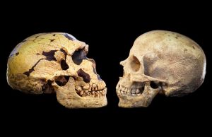 Bilinmeyen Bir Popülasyon, Genlerimizin Yüzde 20’sini Sağlamış